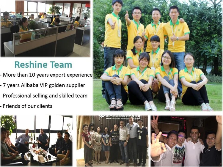 Reshine Wood Team 2